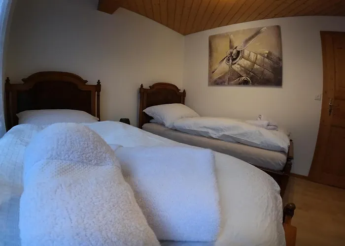 Fine&pine Center Appartement *